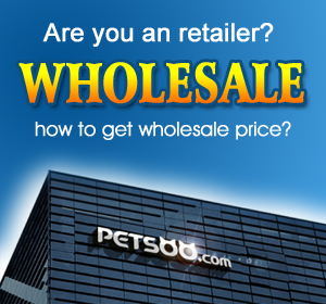 wholesale dog supplies