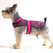 U-shape convenient waistband dog coat