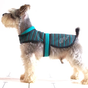 leisure buttonless dog coat