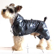 graceful fashion dog raincoat