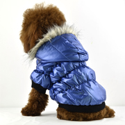 trendy water-proof & cold-proof dog coat