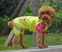 Classic reflective tape water-proof four-legged dog raincoat Yellow