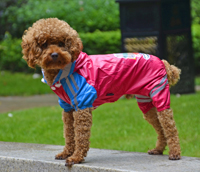 Double-layer mesh Puppy four-legged Printing water-proof dog raincoat Blue