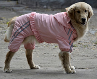 Large Dog Raincoat Waterproof Biger Pet Clothes Reflective Double layer Mesh Purple