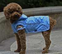 Double-layer mesh water-proof Small Pet Dog Raincoat Blue