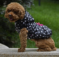 Heart-shaped printing Butterfly Pet Coat Winter Dog Clothing Orange