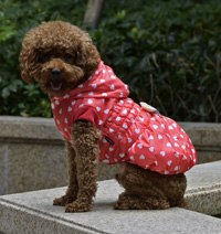 Heart-shaped printing Butterfly Pet Coat Winter Dog Clothing Orange