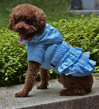 Fold three layer Gauze Belt Dog Coat Winter Pet Clothing Blue