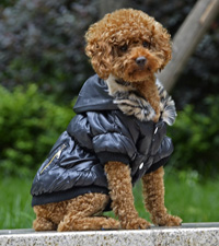Classic zipper design Winter Dog Clothes Pet Coat Black