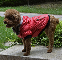 Fahion Plain Winter Dog Coat Puppy Clothing with Detachable Hat Purple