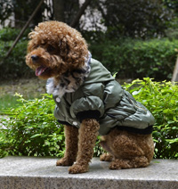 Classic zipper design Winter Dog Coat Puppy Clothes Purple