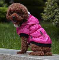 Classic zipper design Winter Dog Coat Puppy Clothes Watermelon Red