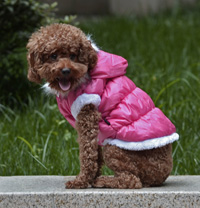 Fahion Plain Winter Dog Coat Puppy Clothing with Detachable Hat Watermelon Red