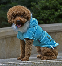 Classic Diamond Stitch Winter Dog Clothes Puppy Coat Purple