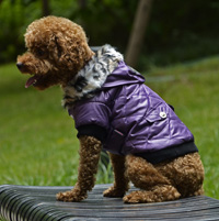 Classic Diamond Stitch Winter Dog Clothes Puppy Coat Purple