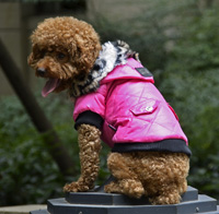Classic Diamond Stitch Winter Dog Clothes Puppy Coat Rose