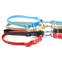 Gold Silk Embroidery Design Dog Collars and Dog Leashes Set