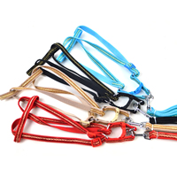 Veins Pattern Dog Harnesses and Dog Leashes Set