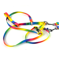 Fluorescent Color Blank Nylon Dog Harnesses and Dog Leashes Set