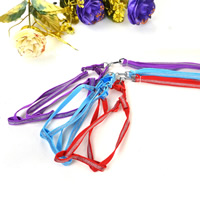 Fluorescent Color Blank Nylon Dog Harnesses and Dog Leashes Set