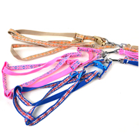 Small Pig Image Dog Harnesses and Dog Leashes Set