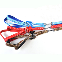 Small Bow Pattern Dog Harnesses and Dog Leashes Set Soft Foam Lining