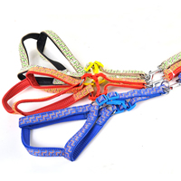 Small Bow Pattern Dog Harnesses and Dog Leashes Set Soft Foam Lining