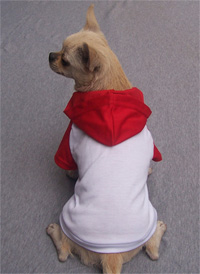 Dog T shirt SP-018
