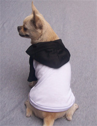 Leisure Fashion Dog Sport T-shirt
