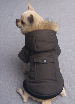 Warm Dog Coat-black