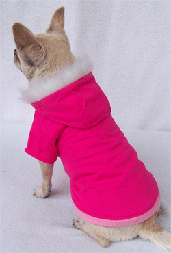 colorful dog coat A-mistyrose