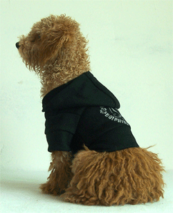 T-shape waistline buttonless dog coat