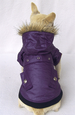 mini jacket coat B-purple