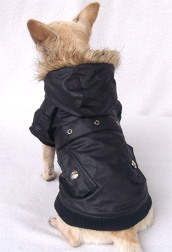 mini jacket coat B-black