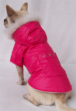colorful dog coat A-deeppink