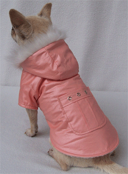 colorful dog coat A-powderblue