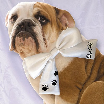 Wedding Dog Bow Tie