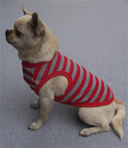 Red and Grey Striped Dog Tank