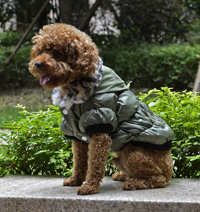 Classic zipper design Winter Dog Coat Puppy Clothes Amry Green