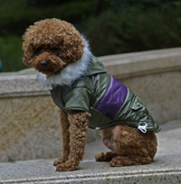 Contrast Color Fish Bone pattern Adjustable button Winter Dog Clothing Pet Coat Amry Green